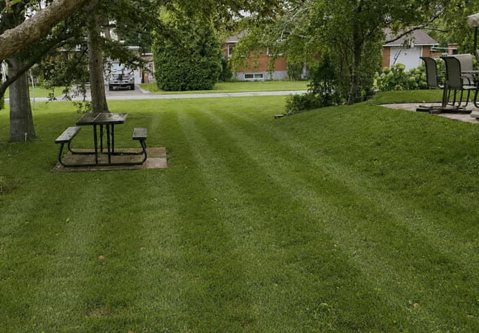 Cour arrière tondue avec table de pique-nique sous les arbres